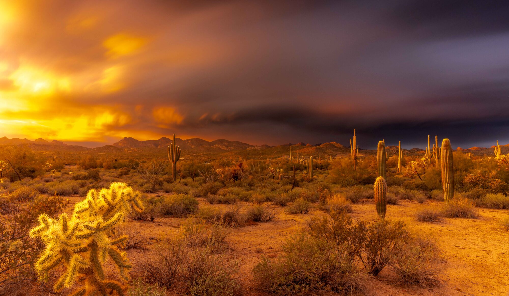 Lost Dutchman sunset